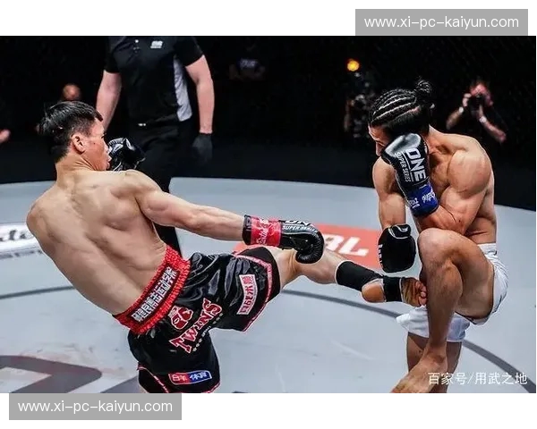 绝代双骄的宿命碰撞：当苏波邦遇见邱建良，这段视频里藏着搏击界的终极答案